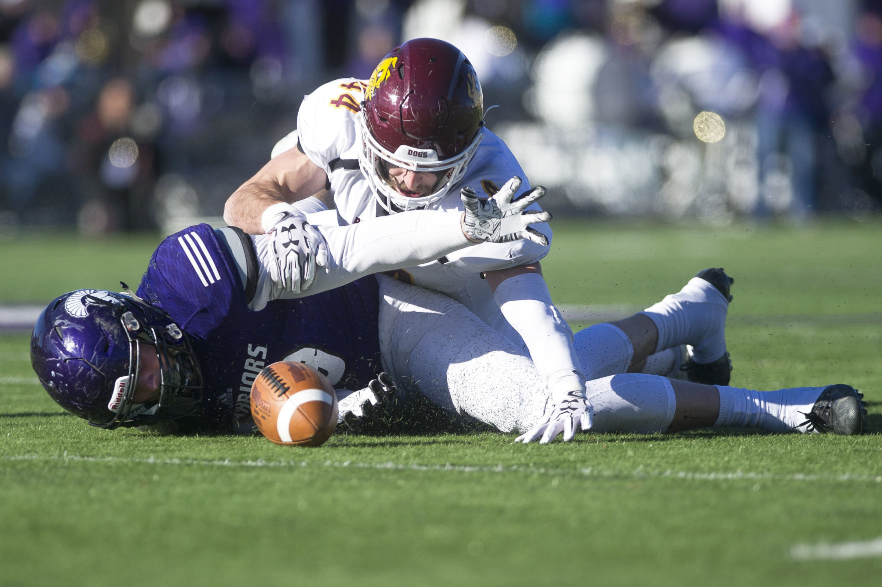 WSU v. Minnesota Duluth 01